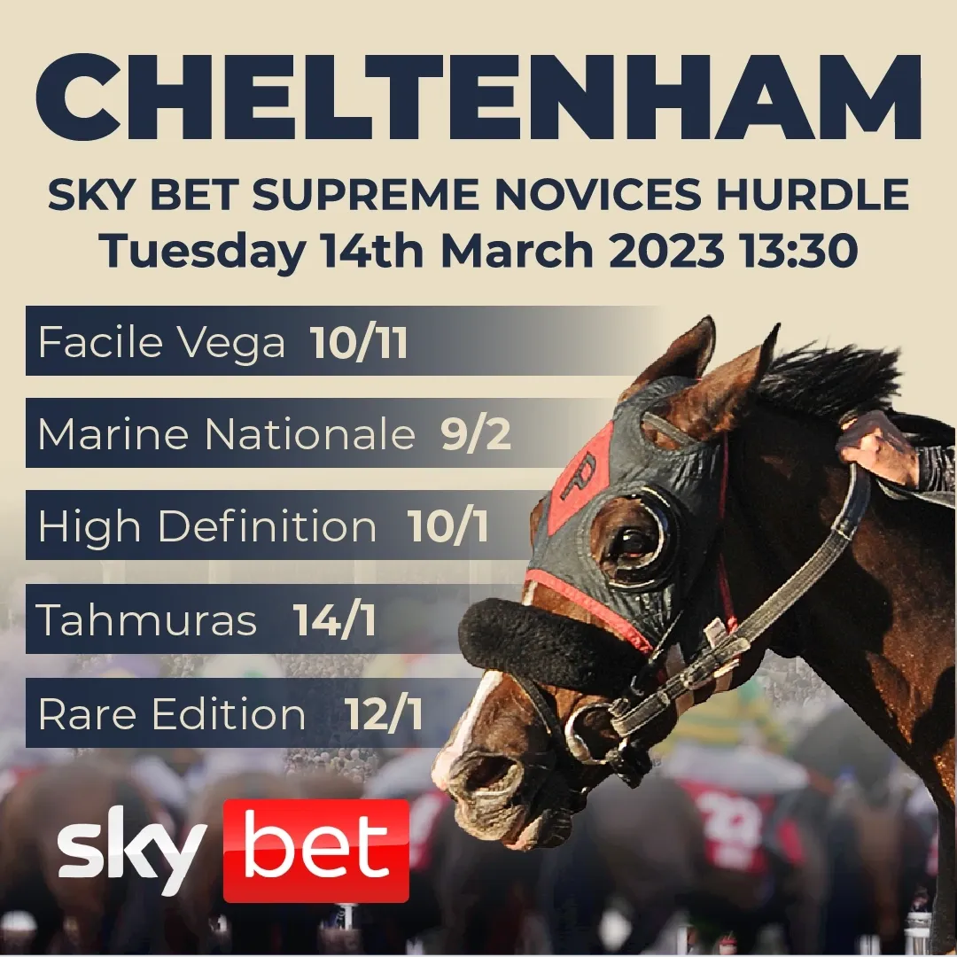 Cheltenham Sky Bet Supreme Novices Hurdle odds